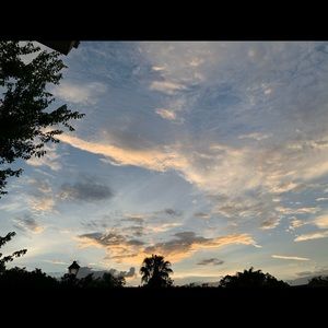 💫💫💫Everything Must Go.💫💫💫